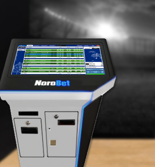 DEZVOLTARE DE SOFTWARE SI HARDWARE