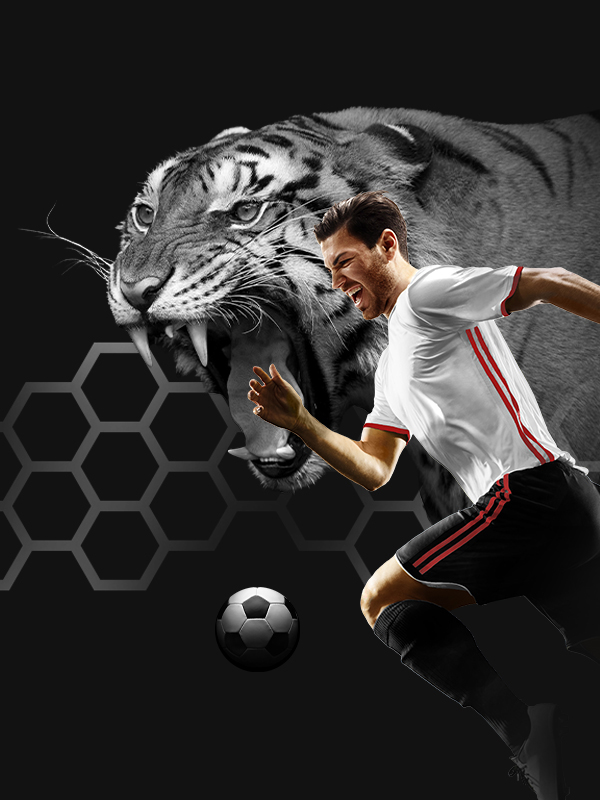 SERVICII DE TIP TIPSTER OFERITE DE NOTOBET ROMANIA SERVICII DE TIP TIPSTER OFERITE DE NOTOBET ROMANIA